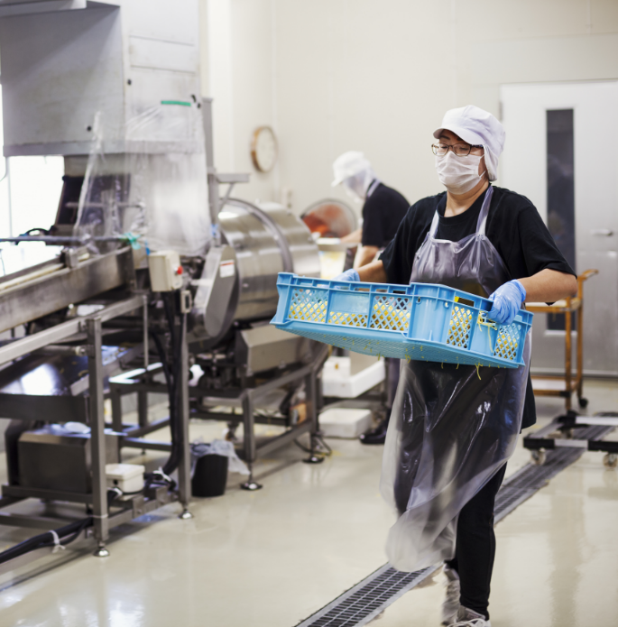 workers-in-a-factory-producing-soba-noodles-2025-04-05-08-03-51-utc